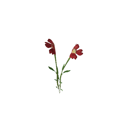 Flower 3 (Type 1)